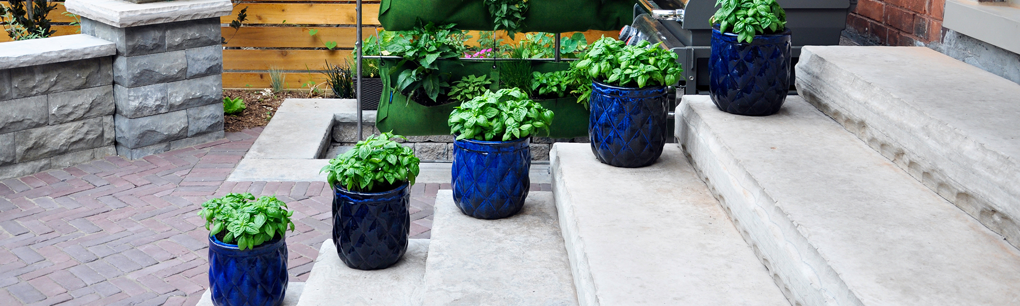 Plants in blue pots lined up along staircase